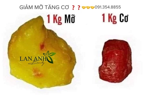 Cơ và mỡ ảnh hưởng đến cân nặng như thế nào?